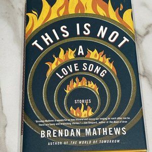 This Is Not a Love Song by Brendan Mathews Hardcover Novel Book.